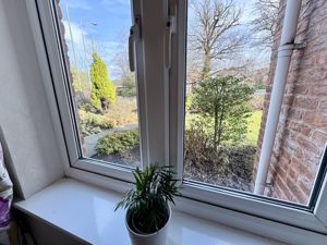 Bedroom View- click for photo gallery